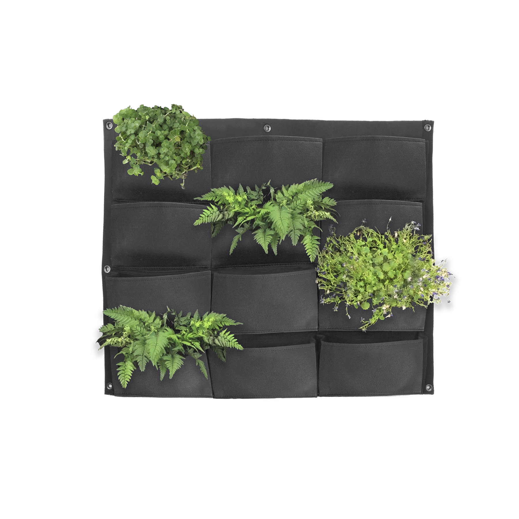 Happy Verticale Tuin | 12 Pockets | Waterdicht | 65cm bij 80cm | voor binnen en buiten | Duurzaam vilt